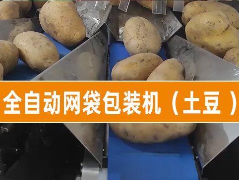 全自动网袋包装系统（土豆）