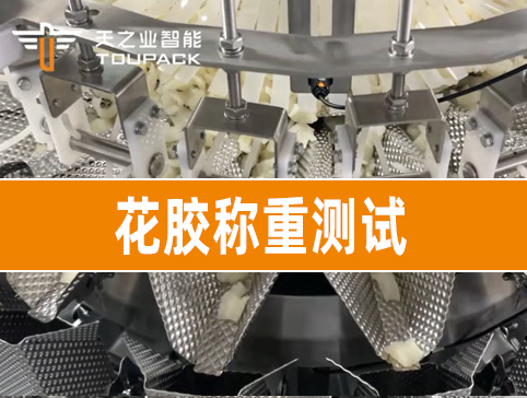 花胶称重测试