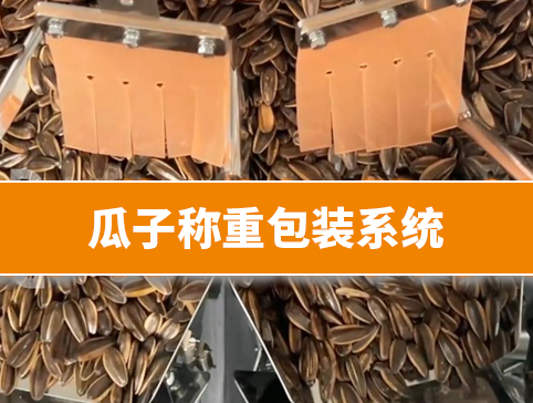 瓜子称重包装系统