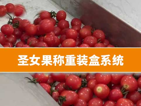 圣女果称重装盒系统