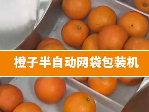 橙子半自动网袋包装机