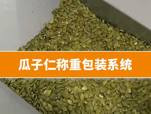 瓜子仁称重包装系统