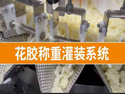 花胶称重灌装系统