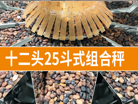 白芸豆十二头25斗式组合秤