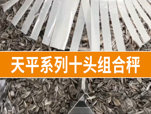 天平系列十头组合秤