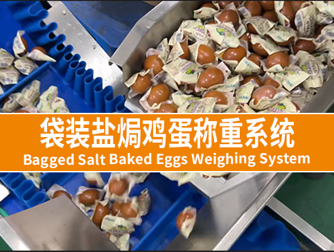 袋装盐焗鸡蛋称重系统