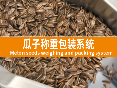 瓜子称重包装系统