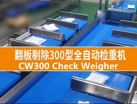 翻板剔除300型全自动检重机