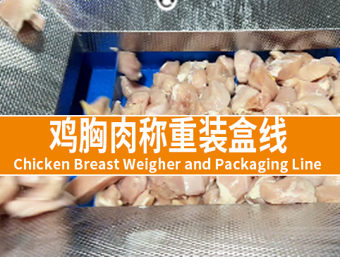 鸡胸肉称重装盒线