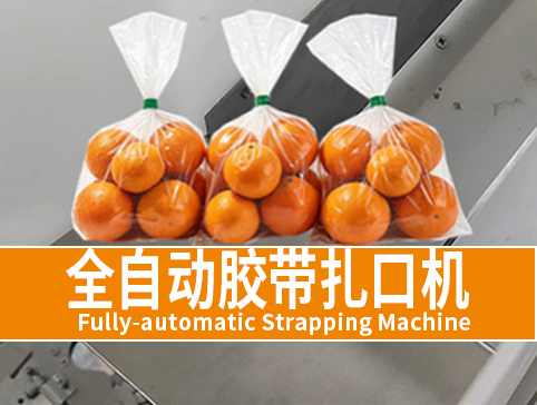 全自动胶带扎口机